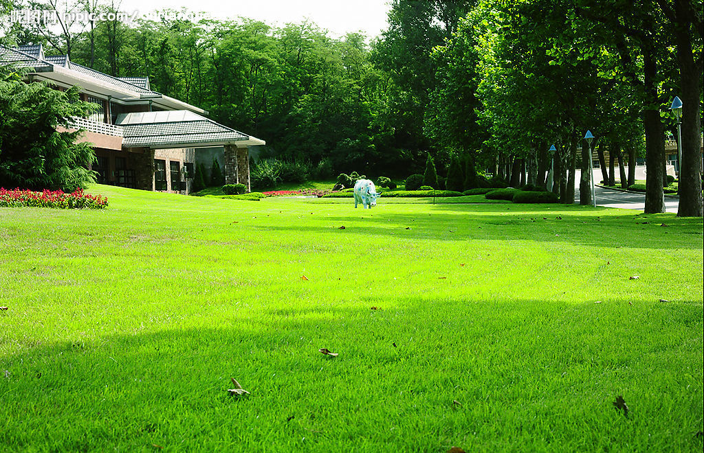 草坪融雪發熱電纜系統